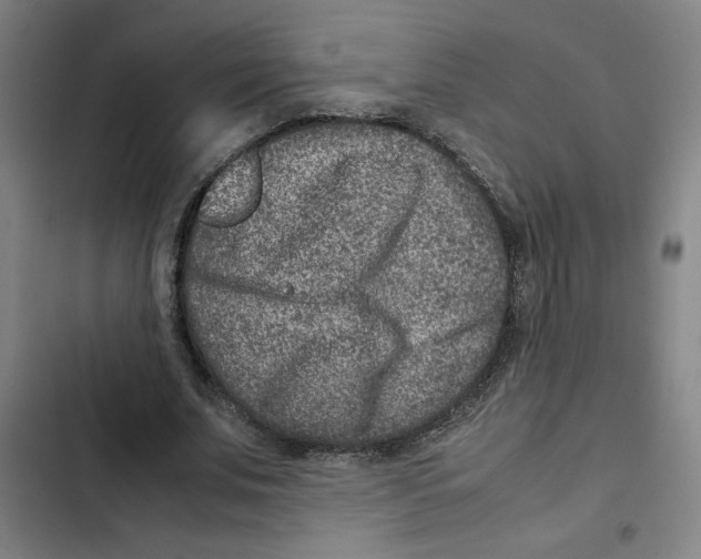 X0000102340679200808291138