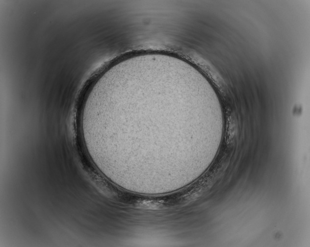 X0000102340680200808291138
