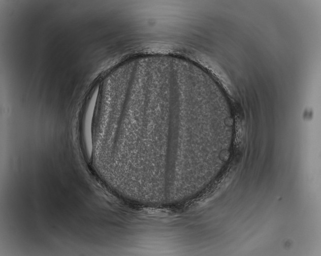 X0000102340681200808291138