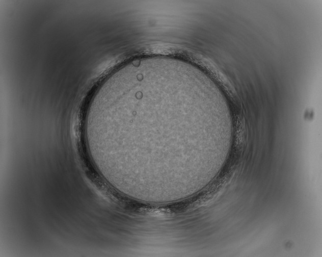 X0000102340683200808291138
