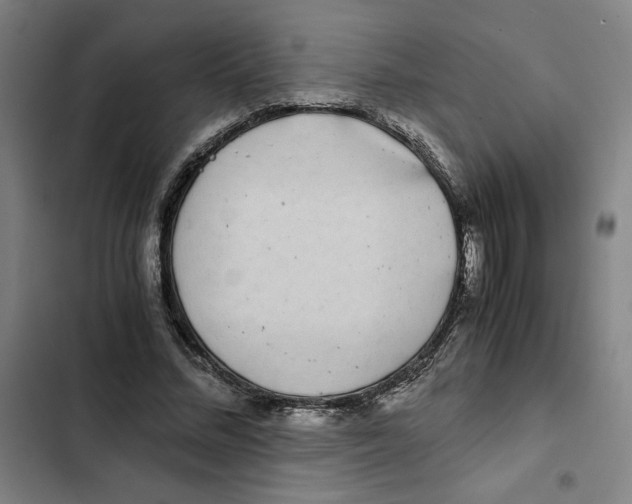 X0000102340684200808291138