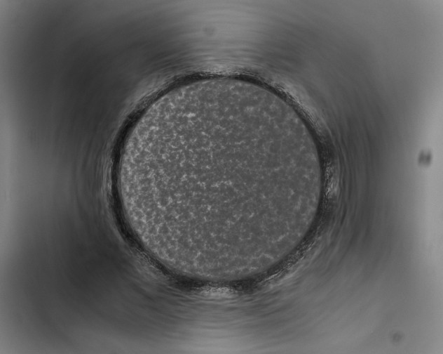 X0000102340685200808291138