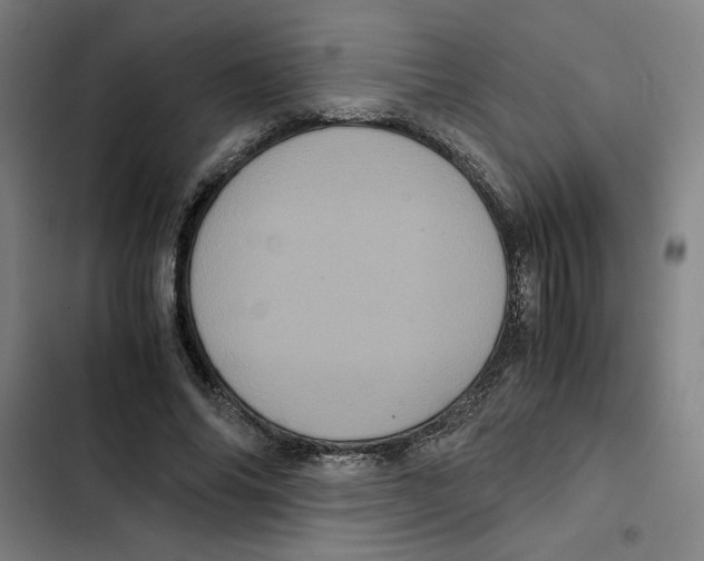 X0000102340686200808291138