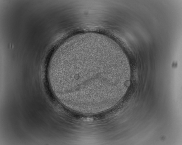 X0000102340687200808291138