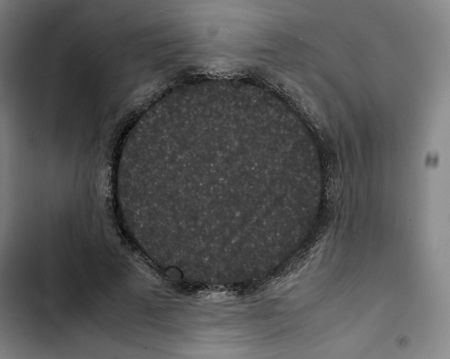 X0000102340689200808291138