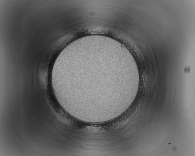 X0000102340690200808291138