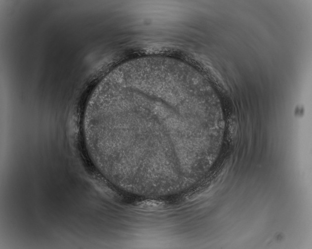 X0000102340691200808291138