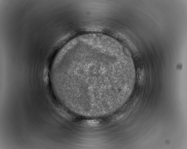 X0000102340692200808291138