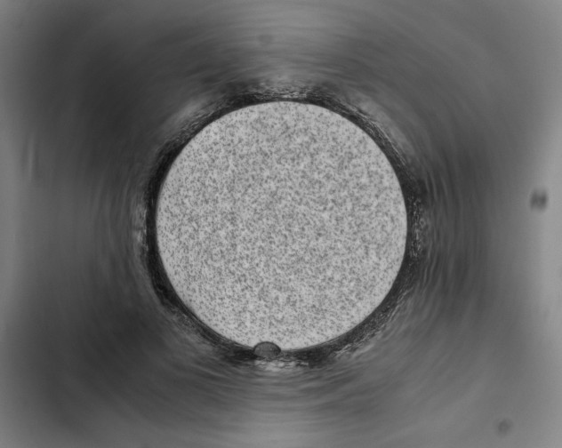X0000102340693200808291138