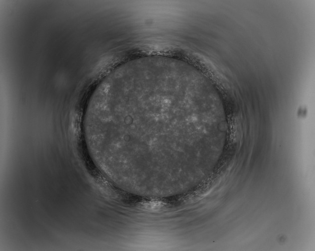 X0000102340695200808291138