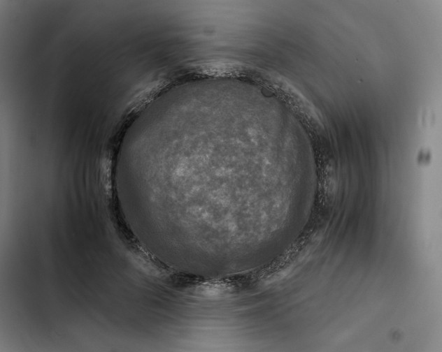 X0000102340696200808291138