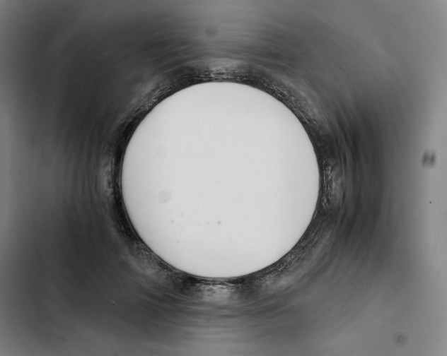 X0000102340698200808291138