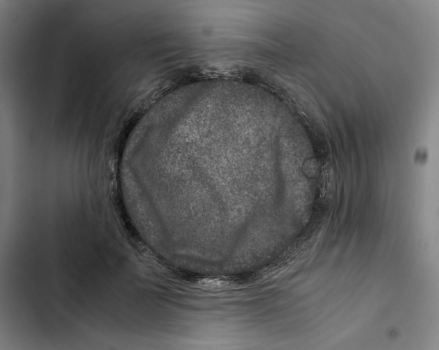 X0000102340699200808291137
