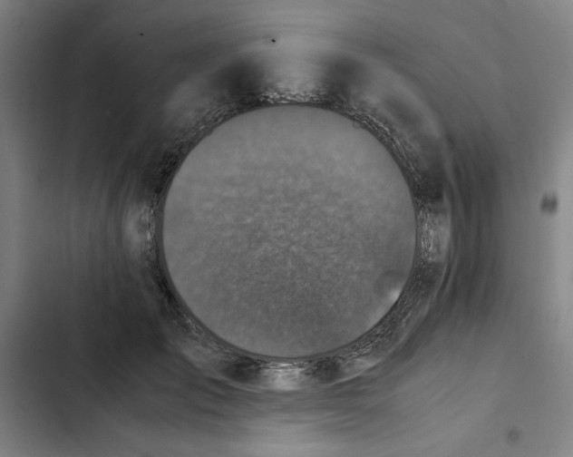 X0000102340701200808291137