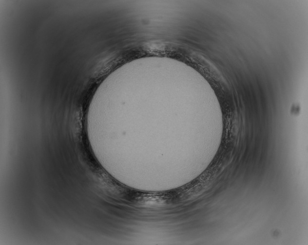 X0000102340702200808291137