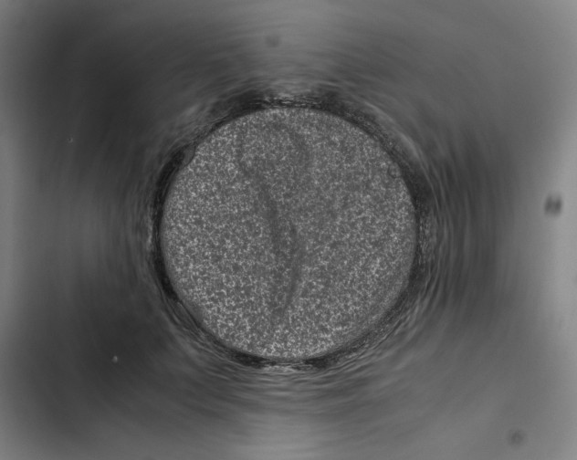 X0000102340703200808291137