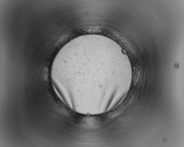 X0000102340704200808291137