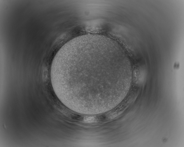 X0000102340705200808291137