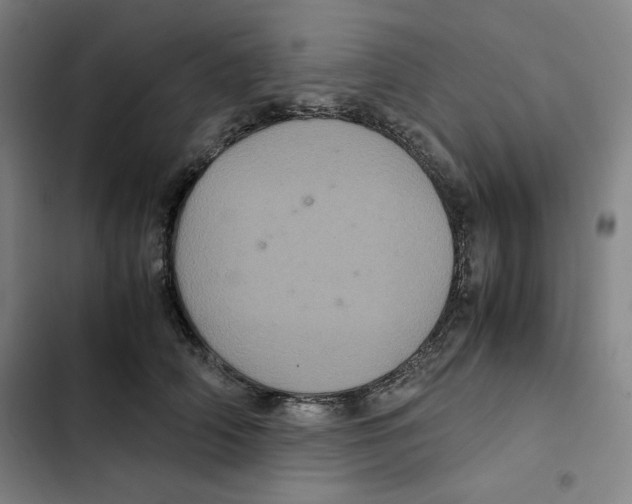 X0000102340706200808291137