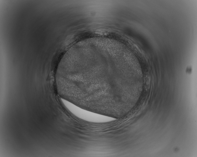 X0000102340707200808291137