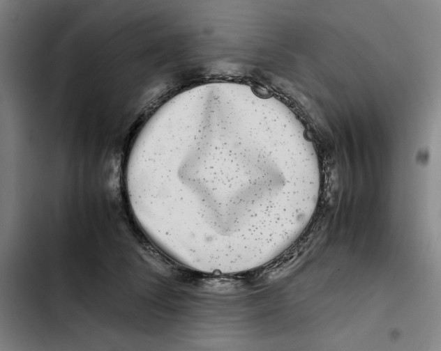 X0000102340708200808291137