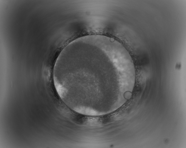 X0000102340709200808291137