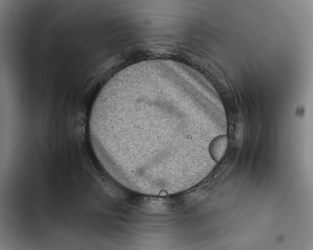 X0000102340710200808291137