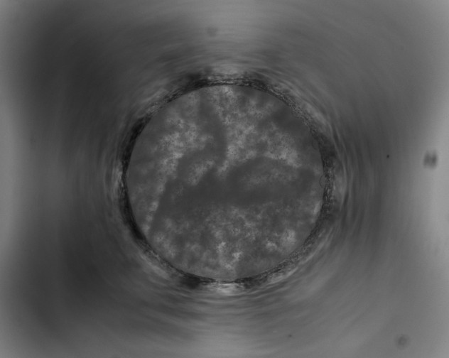 X0000102340711200808291137