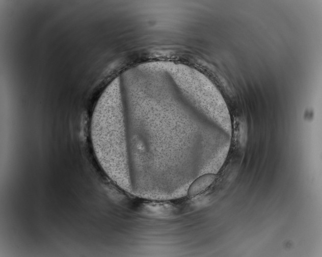 X0000102340712200808291137