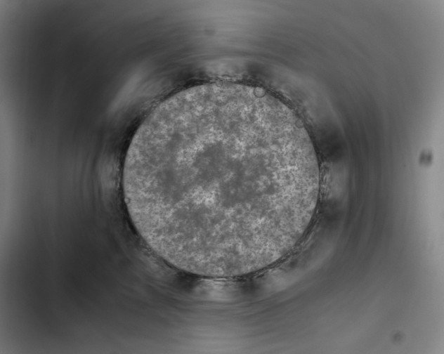 X0000102340713200808291137
