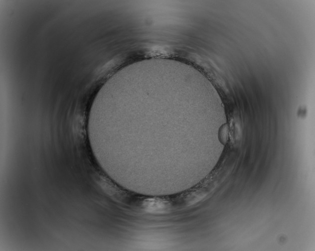 X0000102340714200808291137