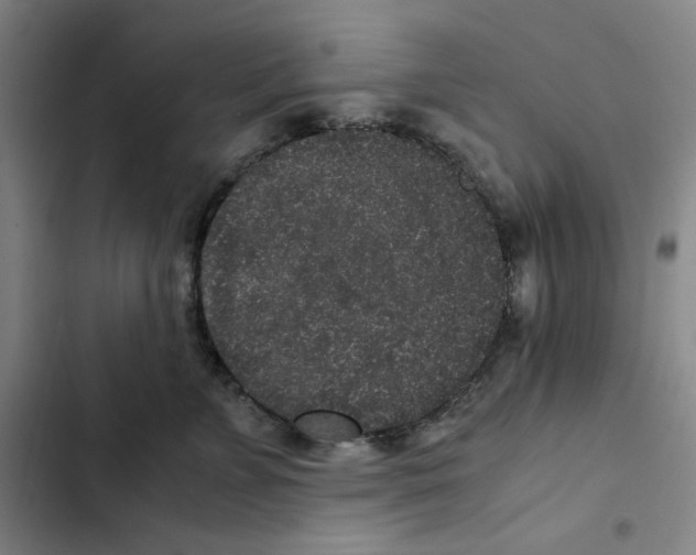X0000102340715200808291137
