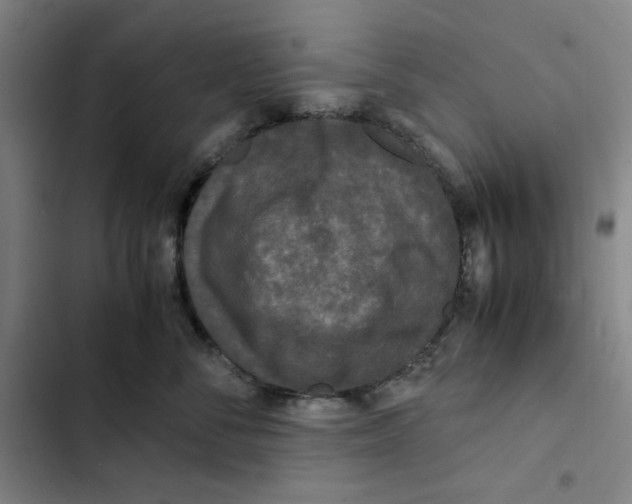 X0000102340716200808291137