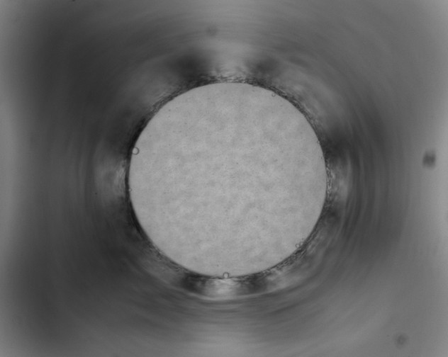 X0000102340717200808291137