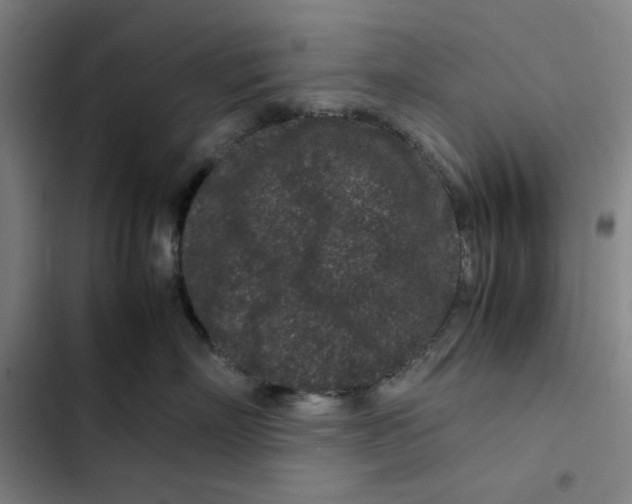 X0000102340718200808291137