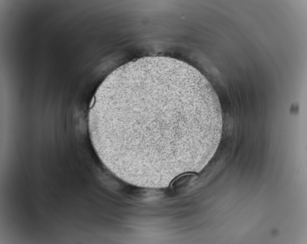 X0000102340719200808291137