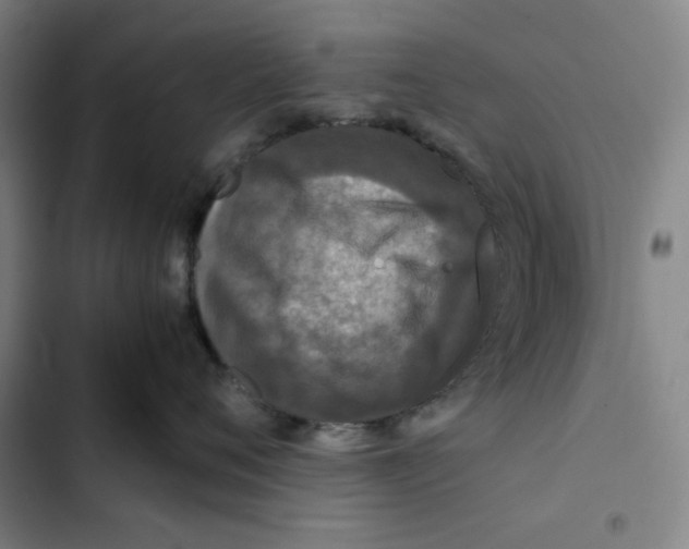 X0000102340720200808291137