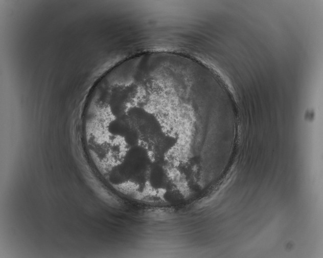 X0000102340721200808291137