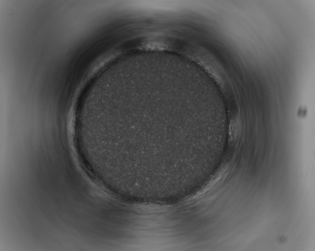 X0000102340722200808291137