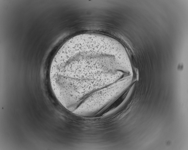 X0000102340723200808291137