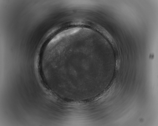 X0000102340724200808291137