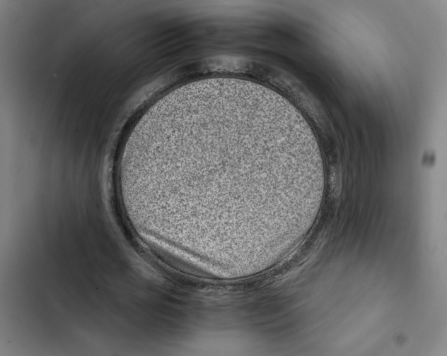 X0000102340725200808291137