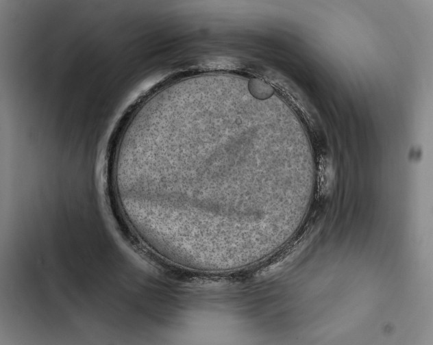 X0000102340726200808291137