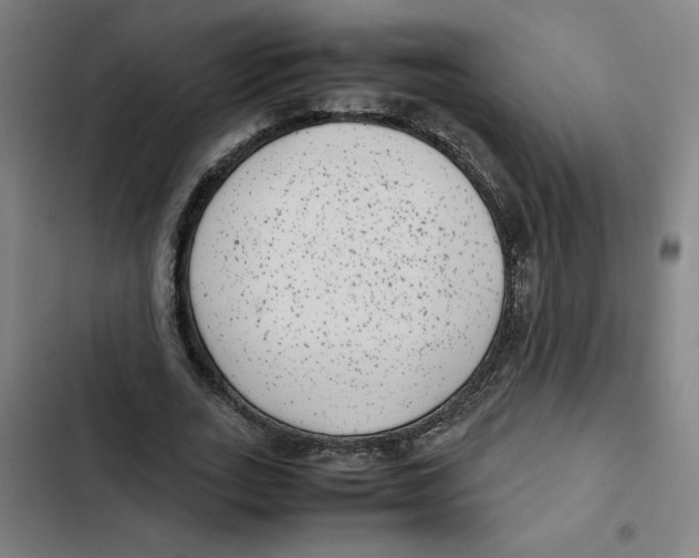 X0000102340727200808291137