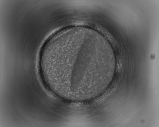 X0000102340728200808291137