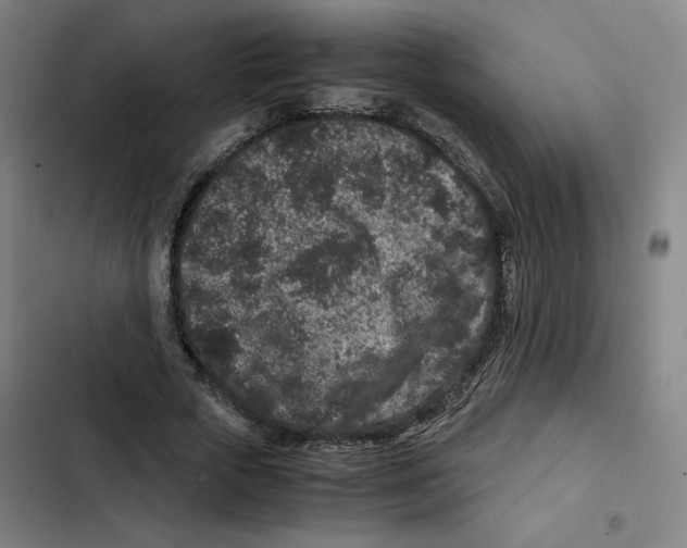 X0000102340729200808291137