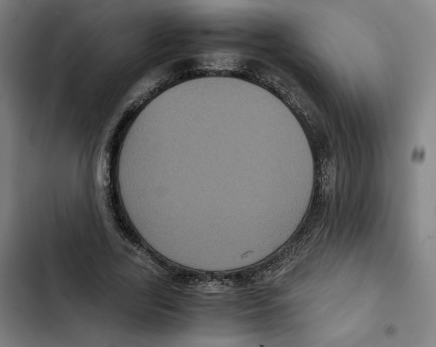X0000102340731200808291137