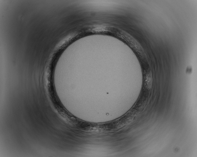 X0000102340732200808291137