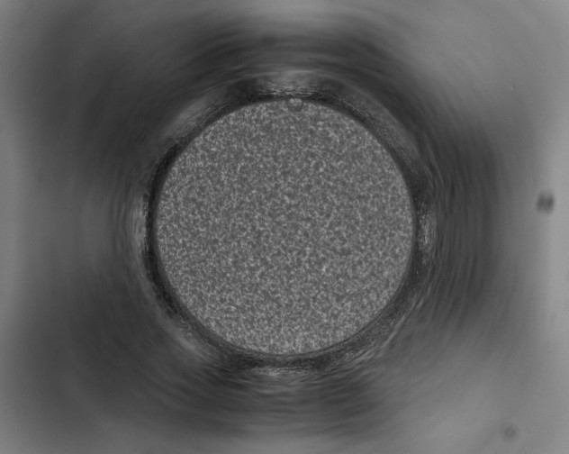 X0000102340733200808291137