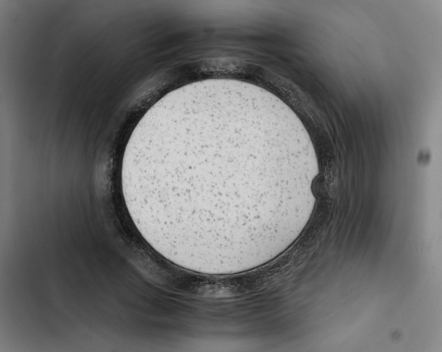 X0000102340735200808291137